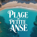 Vue aerienne plage de Petite Anse crique sable dore turquoise