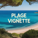 Vue aérienne plage de la vignette sable doré et pins