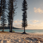 Île des pins : lagon turquoise et sable blanc